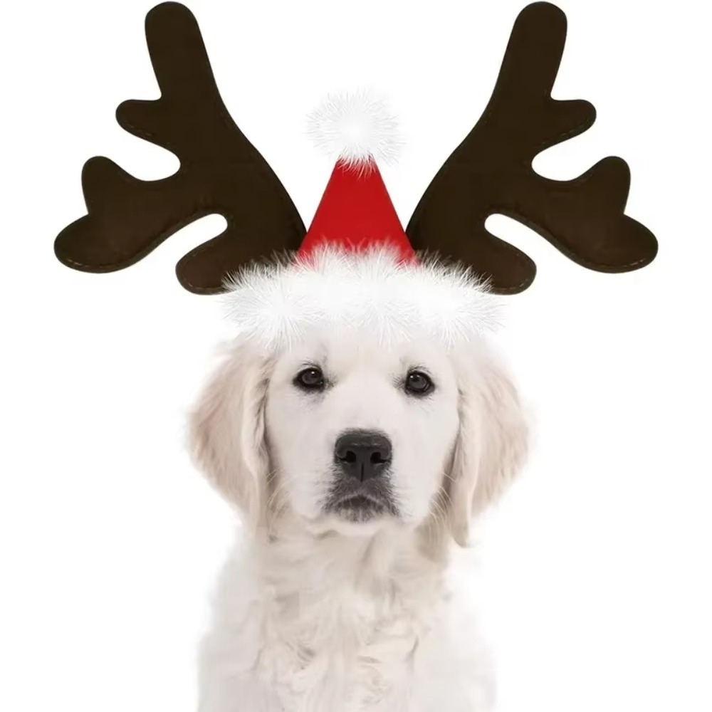 طوق رأس على شكل قرون الرنة لعي - مراجعة Reindeer Antlers Headband وسعره